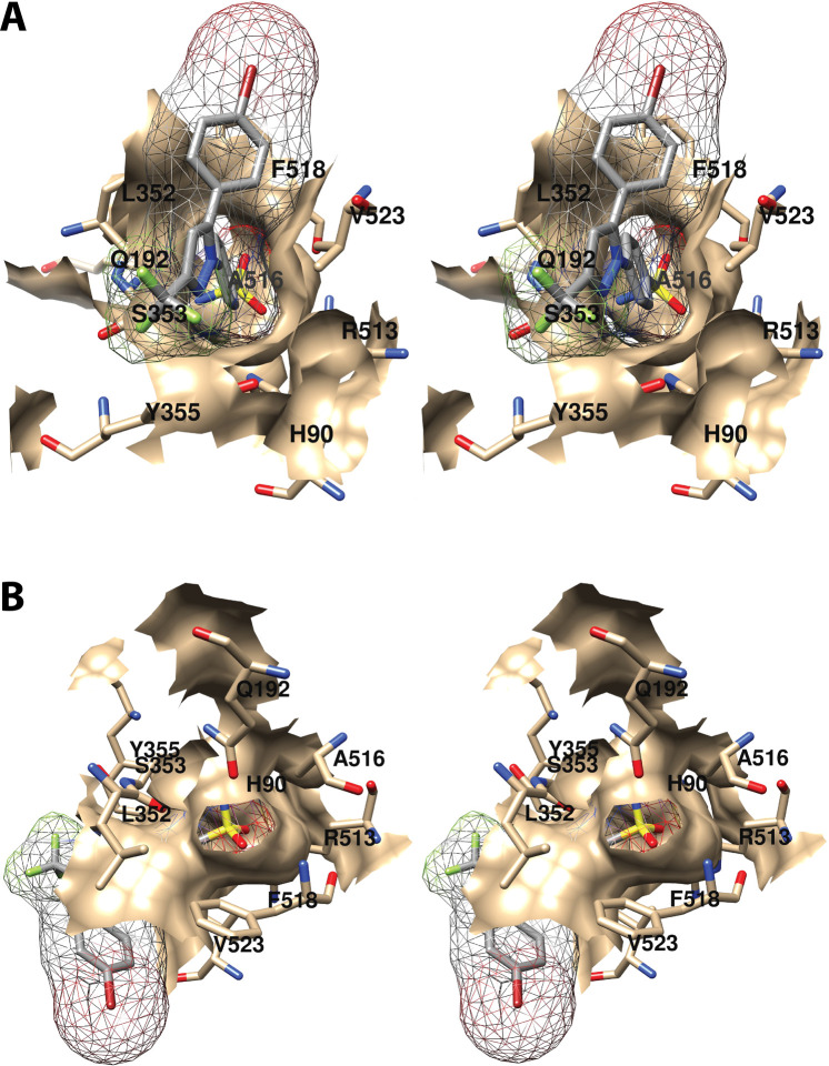 Figure 21