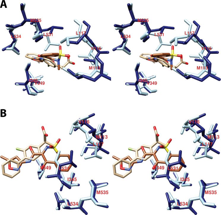 Figure 19