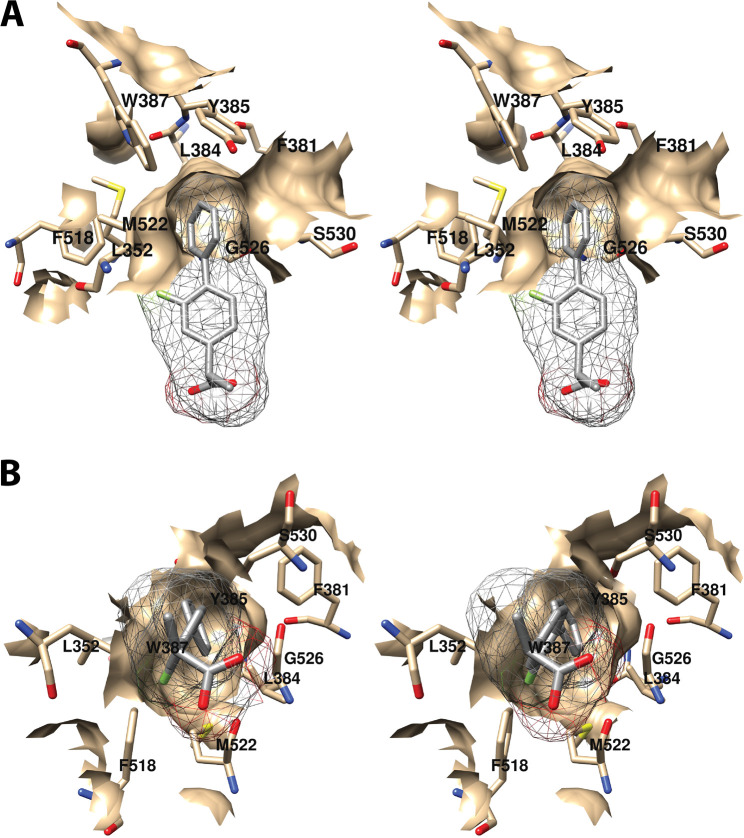 Figure 13