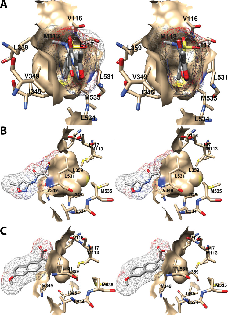 Figure 18