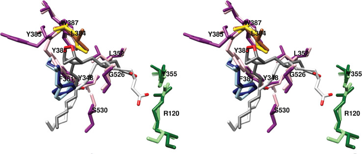 Figure 11