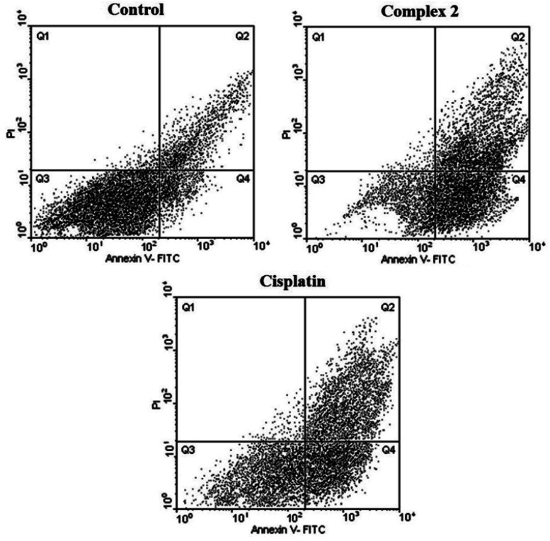 Fig. 6