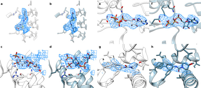 Fig. 4