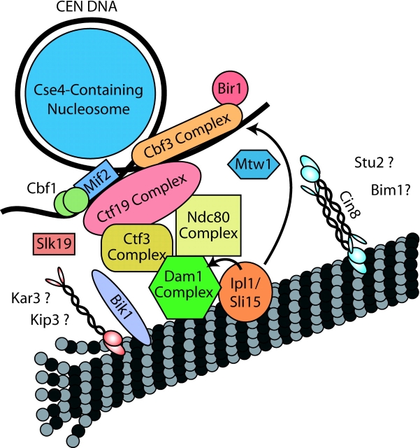 Figure 2.