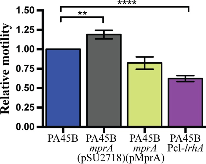 FIG 6 