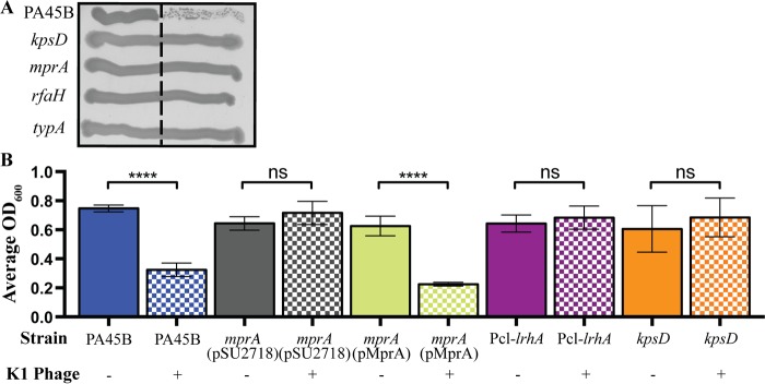 FIG 3 