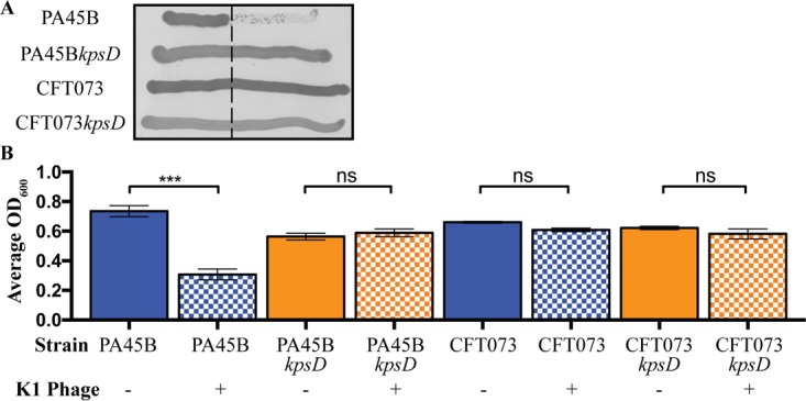 FIG 1 