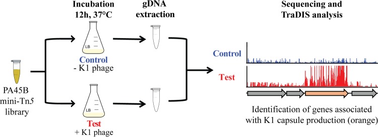 FIG 2 