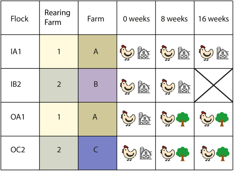 FIGURE 1