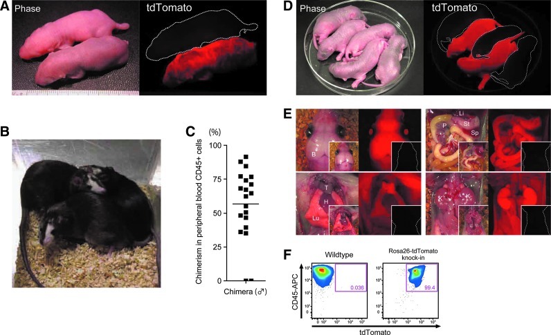 FIG. 2.