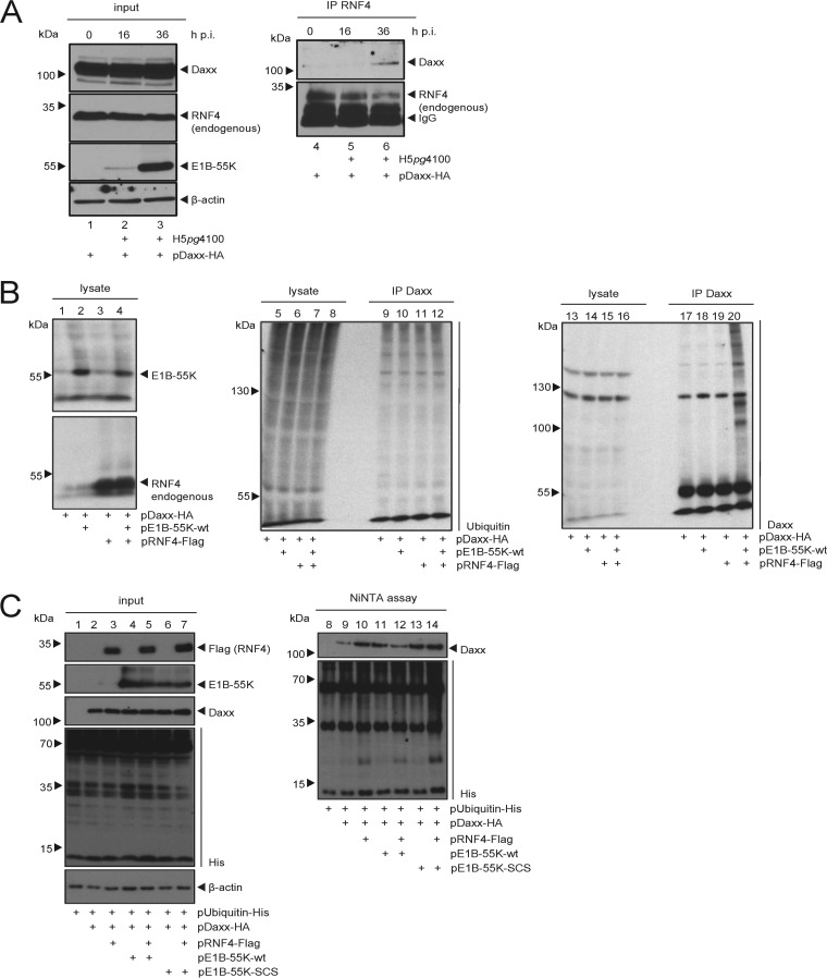 FIG 4