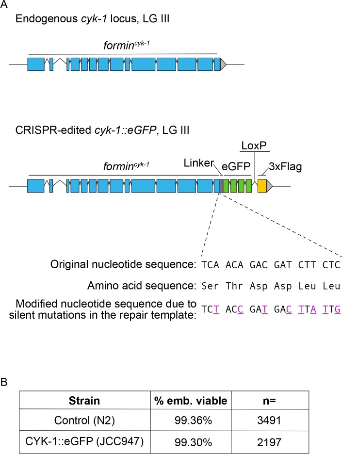 Figure 3—figure supplement 2.