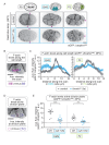 Figure 4—figure supplement 2.