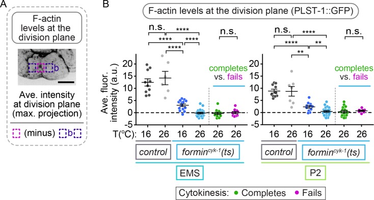 Figure 4—figure supplement 3.