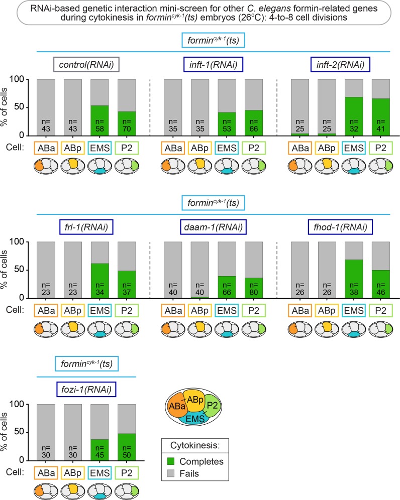 Figure 3—figure supplement 1.