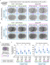 Figure 1—figure supplement 1.