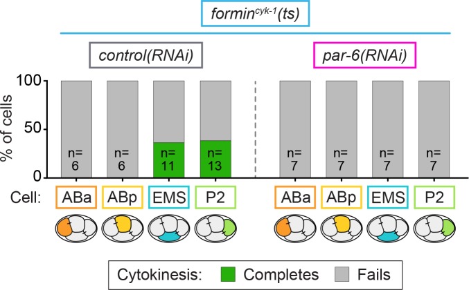 Figure 8—figure supplement 2.