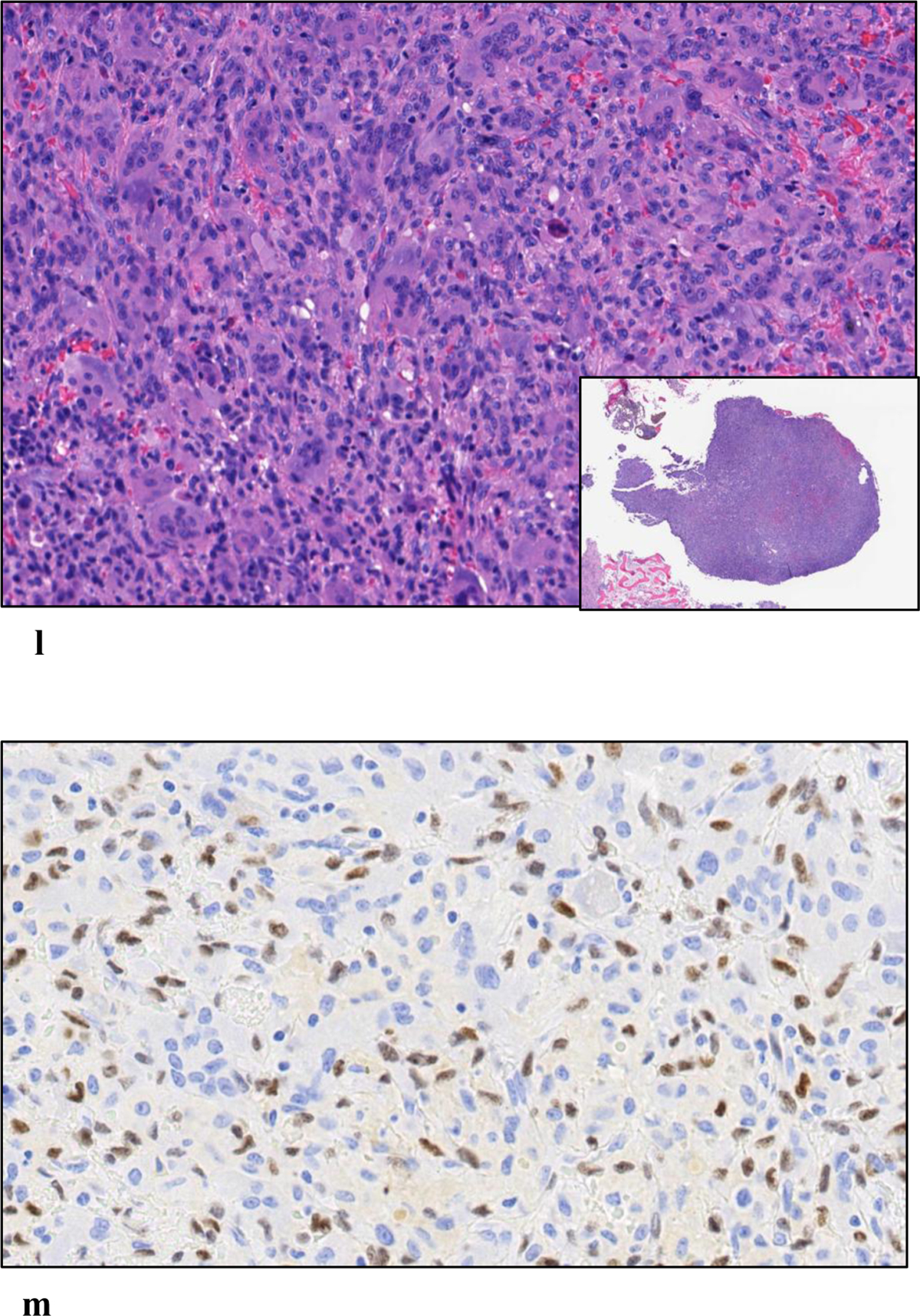Fig. 2. (Case 2)