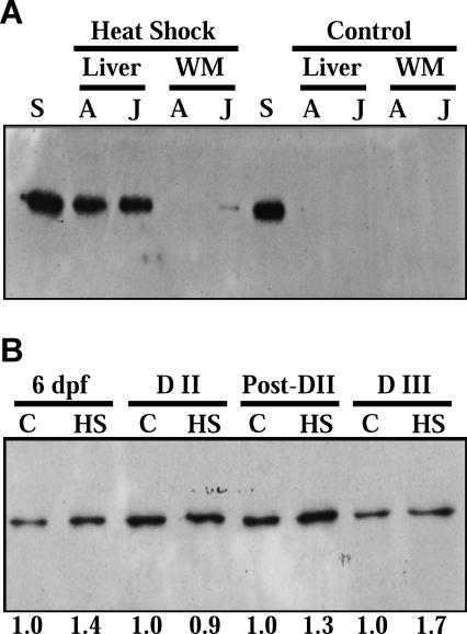 Fig 2.