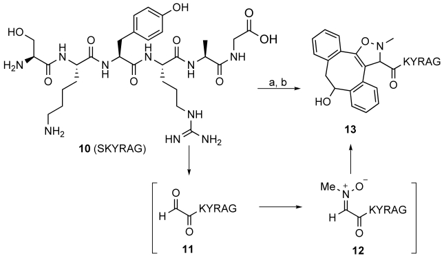 Scheme 1