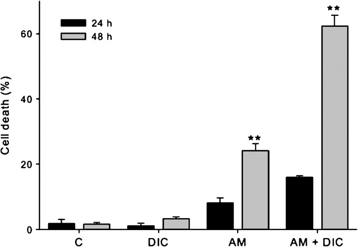 FIG. 1.