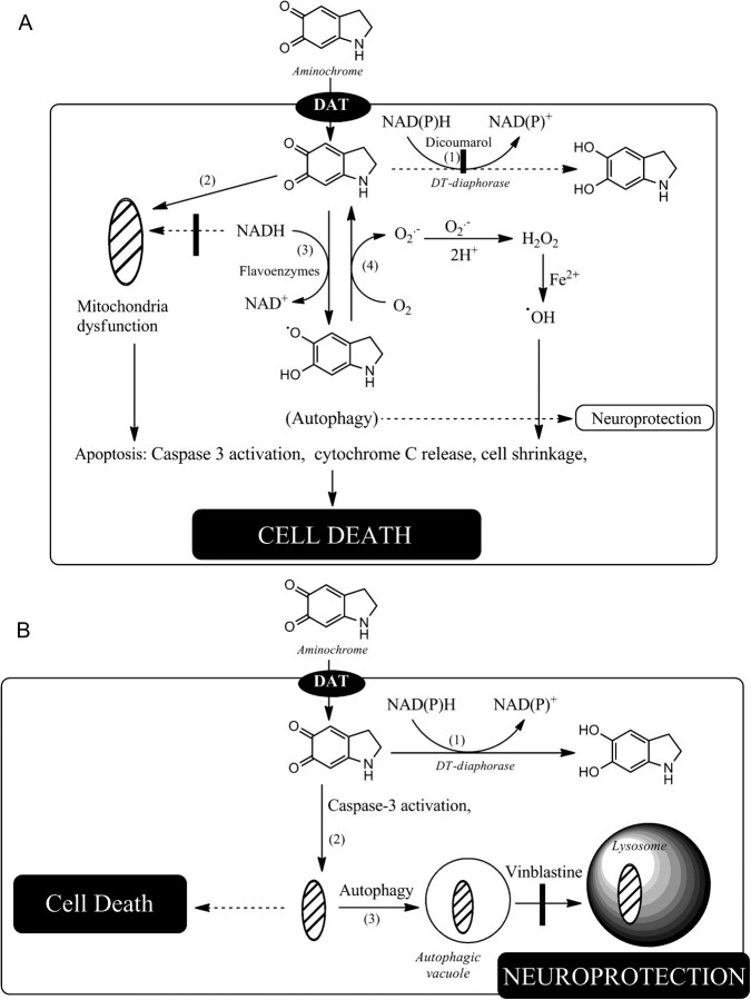 FIG. 8.