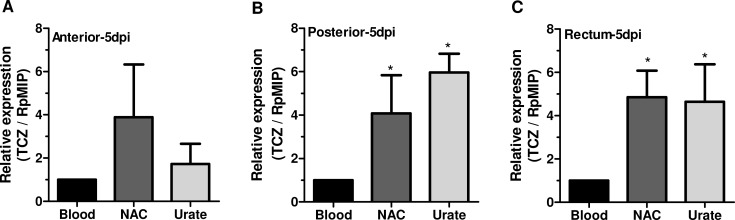 Fig 5