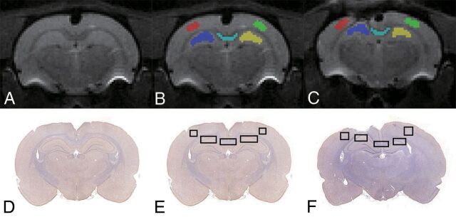 Fig 1.