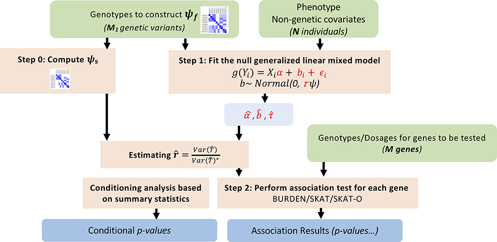 Extended Data Fig. 1