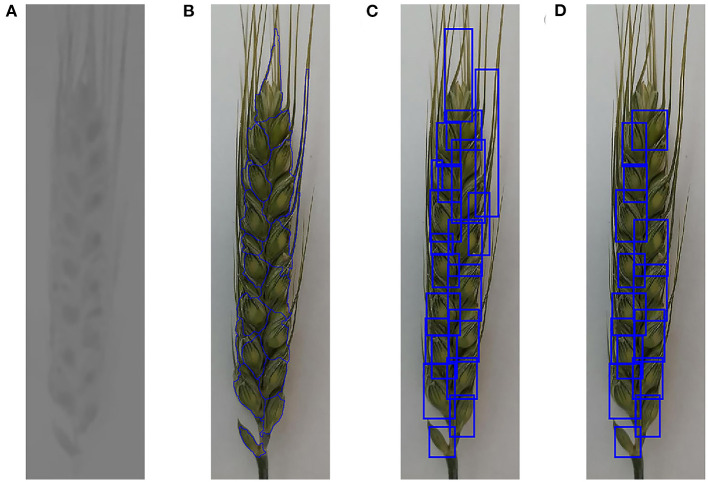 Figure 4