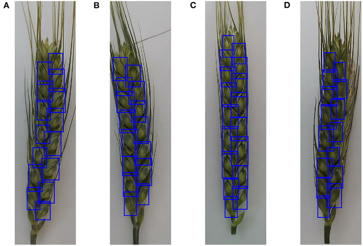 Figure 7