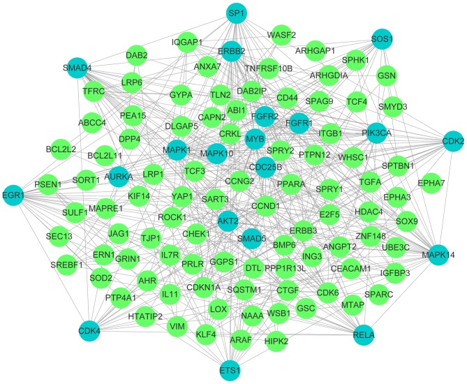 Figure 5.