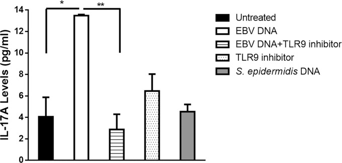 Fig 5