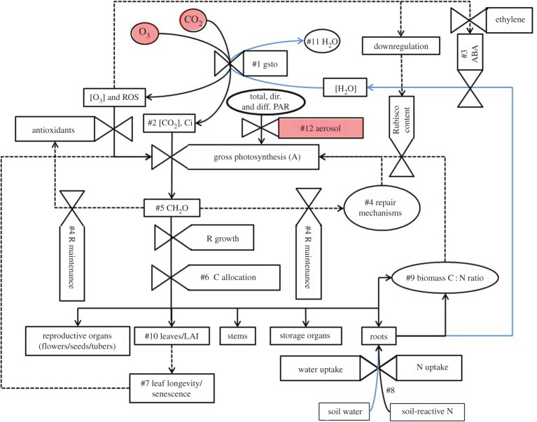 Figure 5.