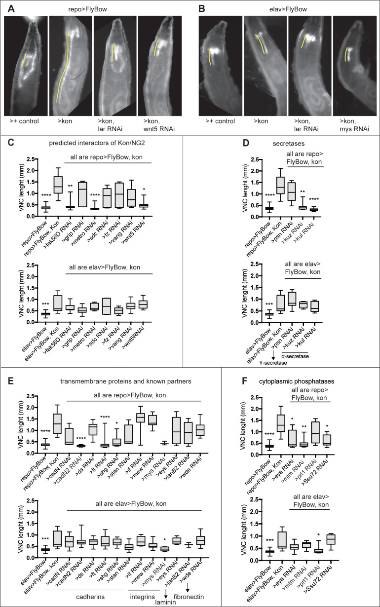 Figure 1—figure supplement 1.