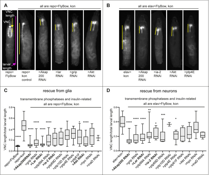 Figure 1—figure supplement 2.