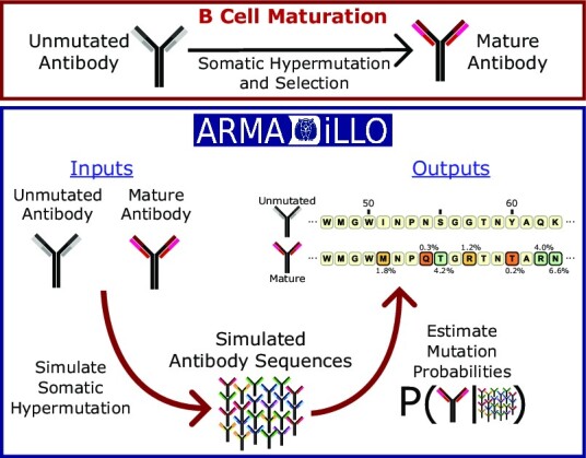 Graphical Abstract