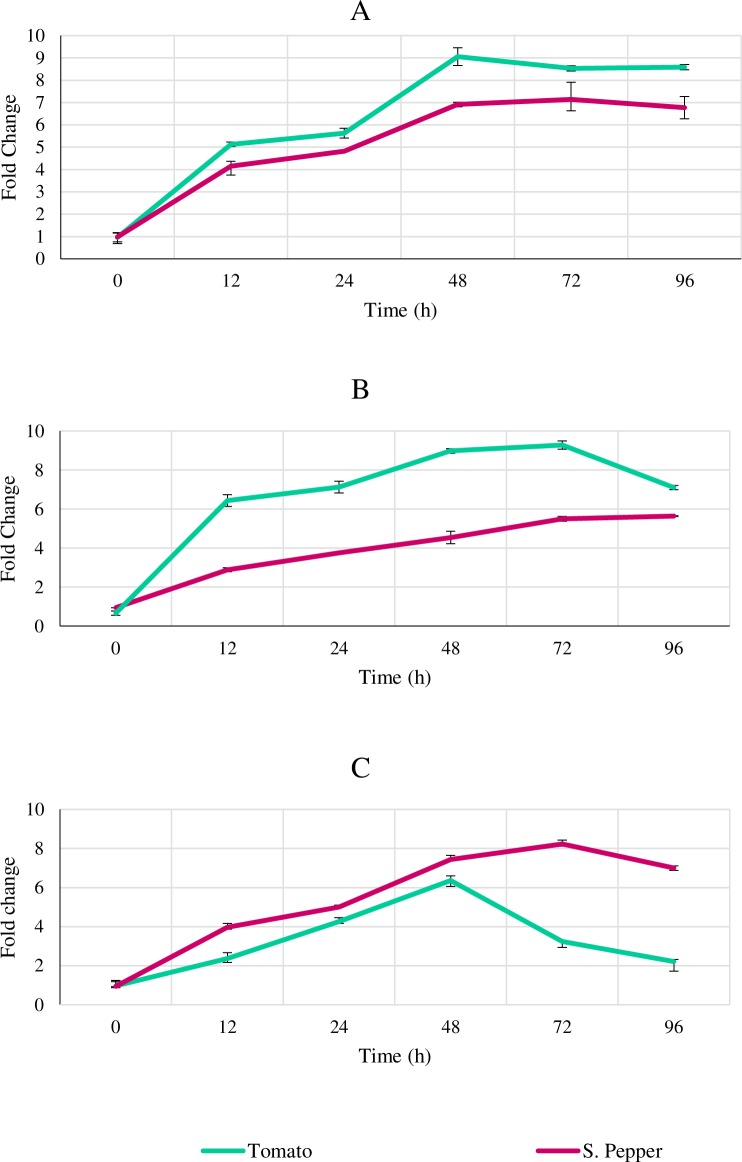 Fig 6