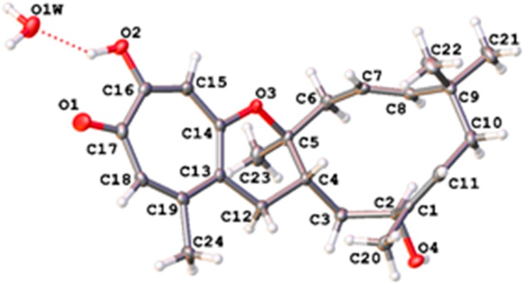 Figure 4