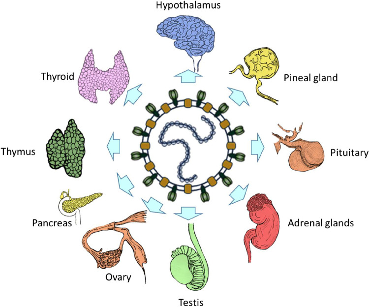 Figure 1.