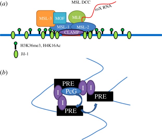 Figure 5.