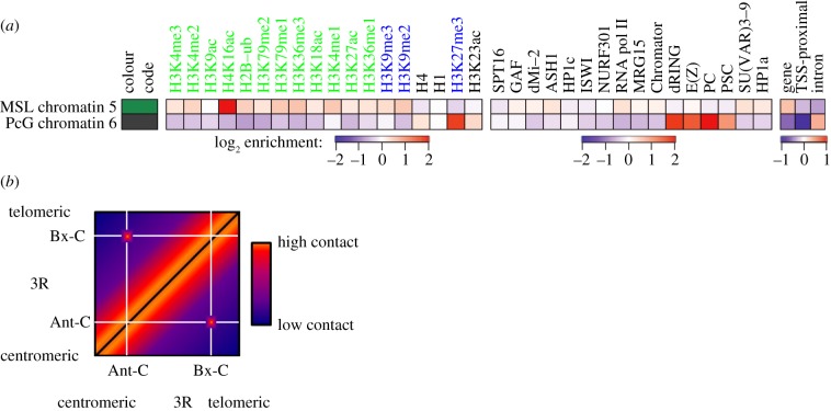 Figure 4.