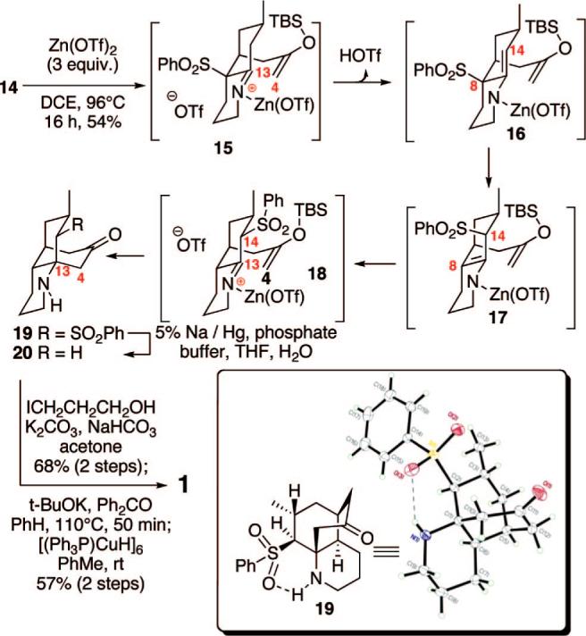 Scheme 3