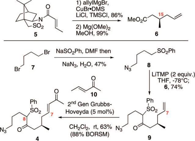 Scheme 1