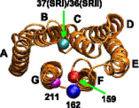 FIGURE 4.