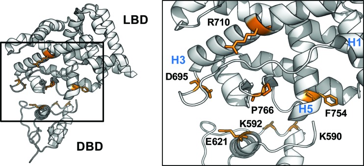 Fig 6