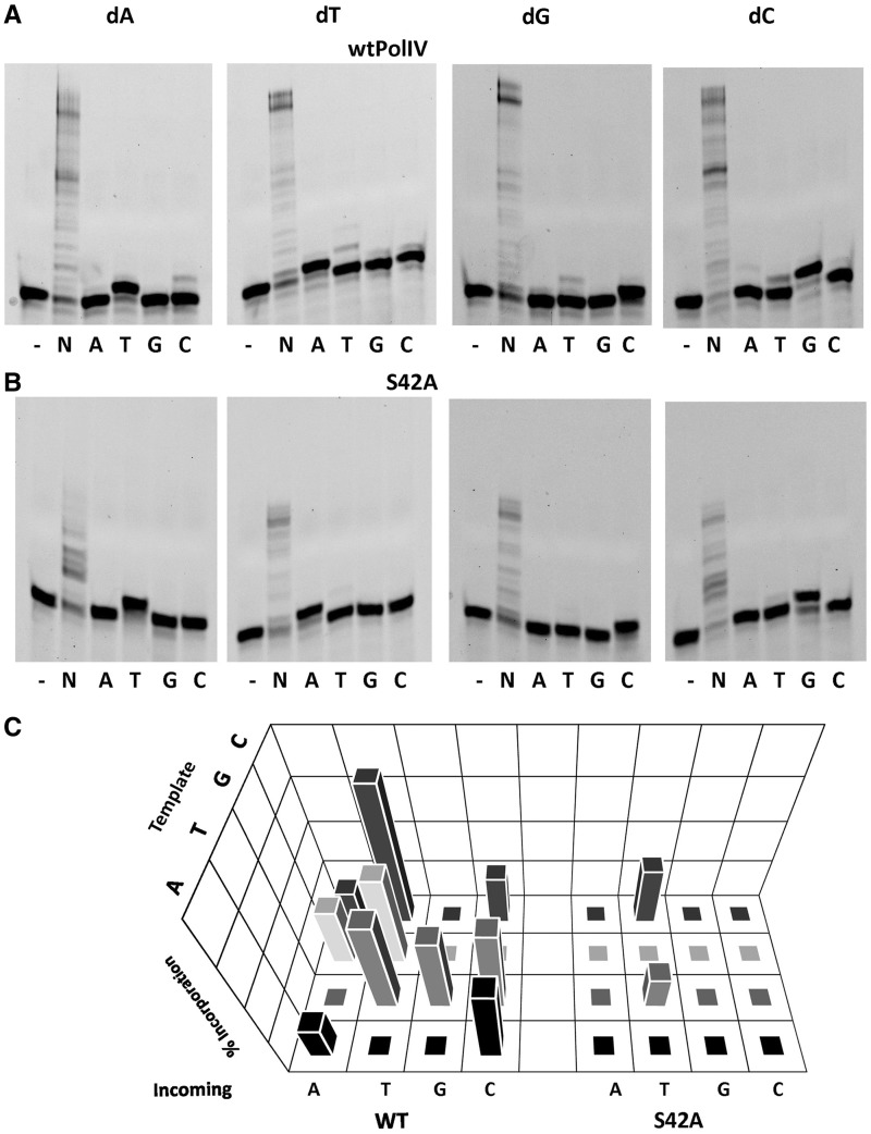 Figure 3.