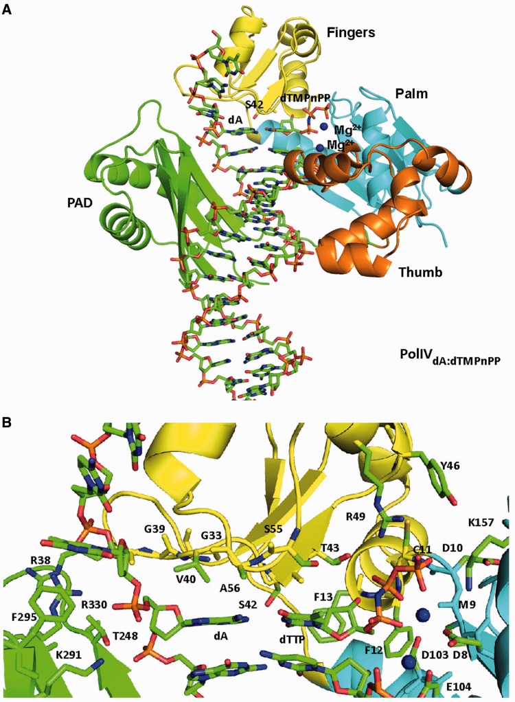 Figure 1.