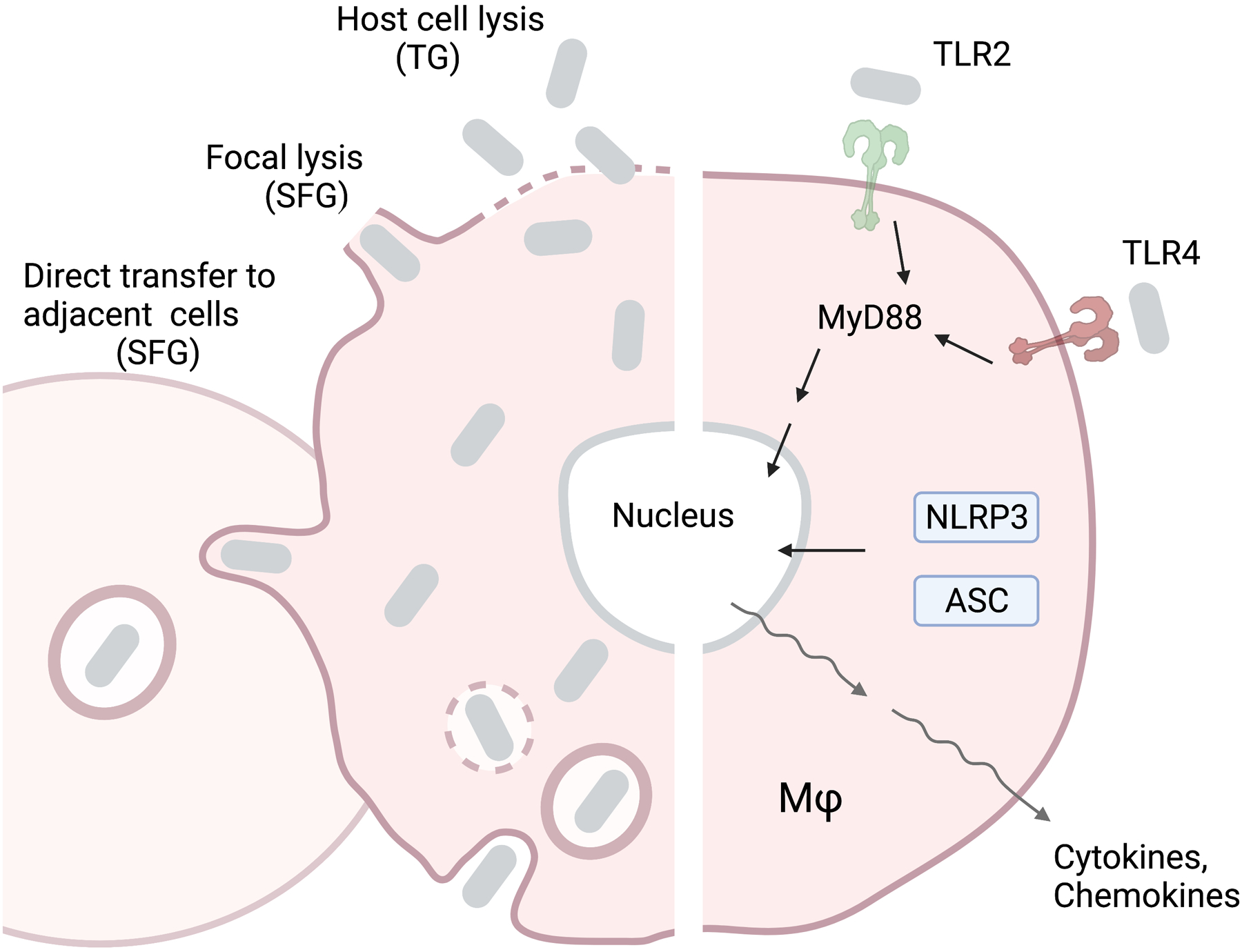 Figure 2.