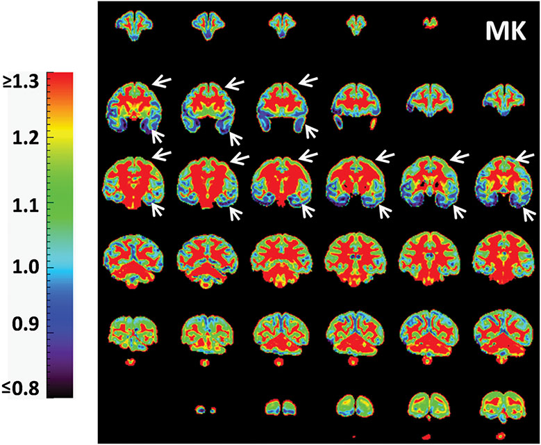 Figure 3: